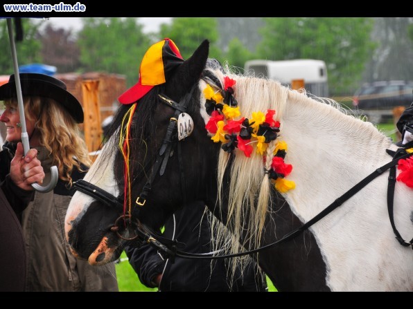 Reitertag @ Unterroth - Bild 69