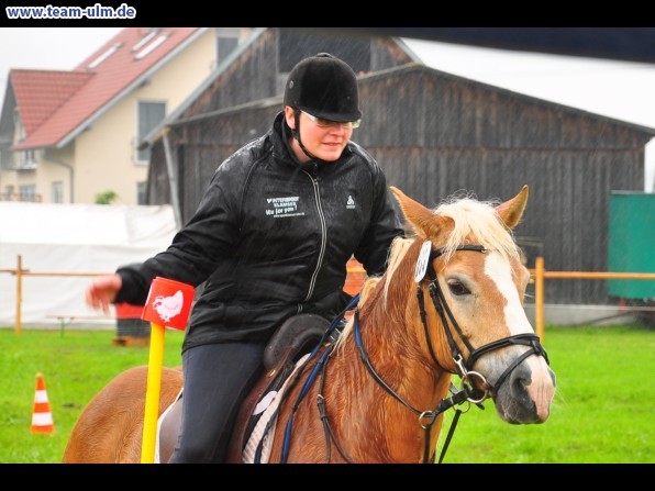 Reitertag @ Unterroth - Bild 7