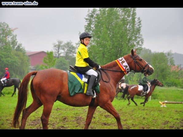 Reitertag @ Unterroth - Bild 70