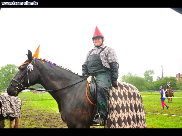 Reitertag @ Unterroth - Bild 72