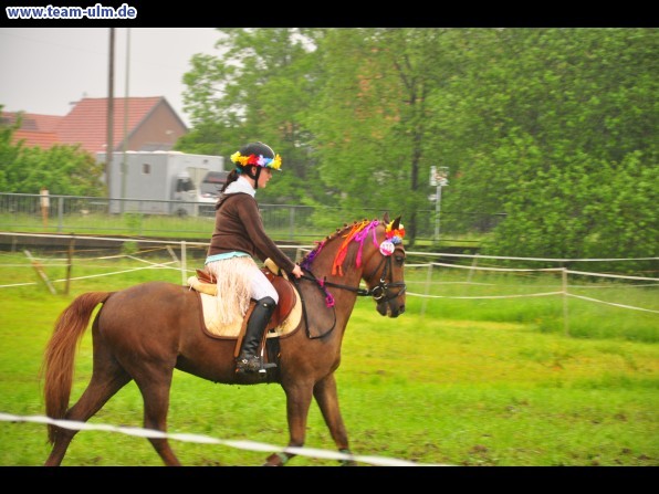 Reitertag @ Unterroth - Bild 74