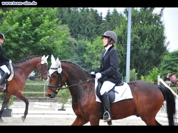 Dressurturnier @ Weissenhorn - Bild 10