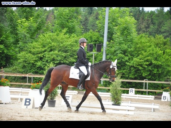 Dressurturnier @ Weissenhorn - Bild 11