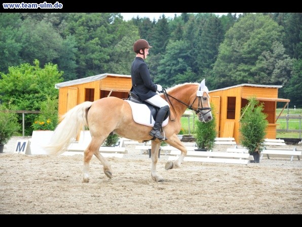 Dressurturnier @ Weissenhorn - Bild 16