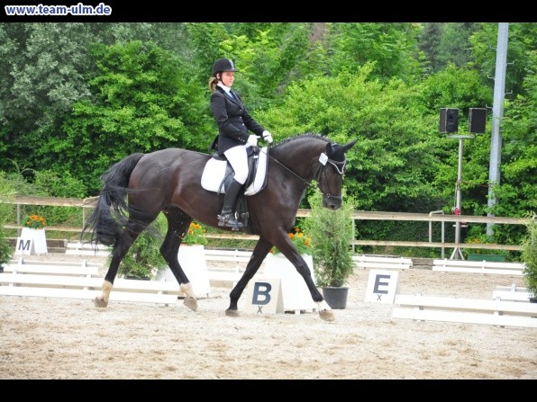 Dressurturnier @ Weissenhorn - Bild 21