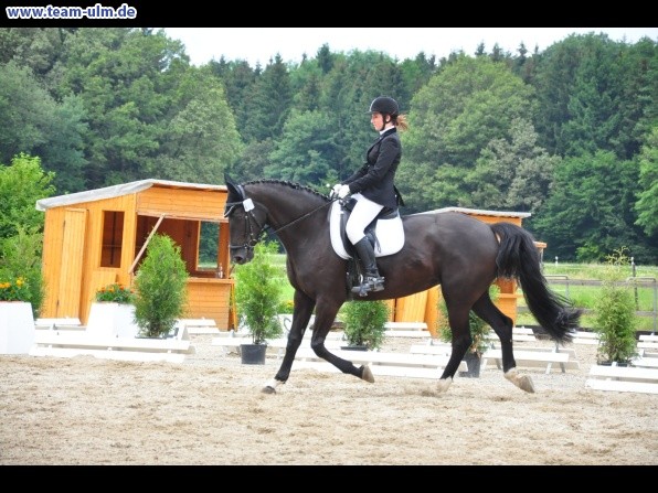 Dressurturnier @ Weissenhorn - Bild 23