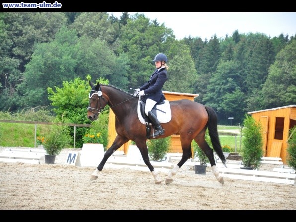 Dressurturnier @ Weissenhorn - Bild 24
