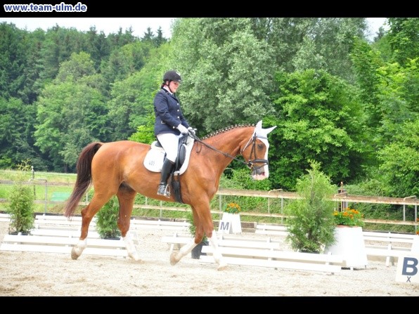 Dressurturnier @ Weissenhorn - Bild 27