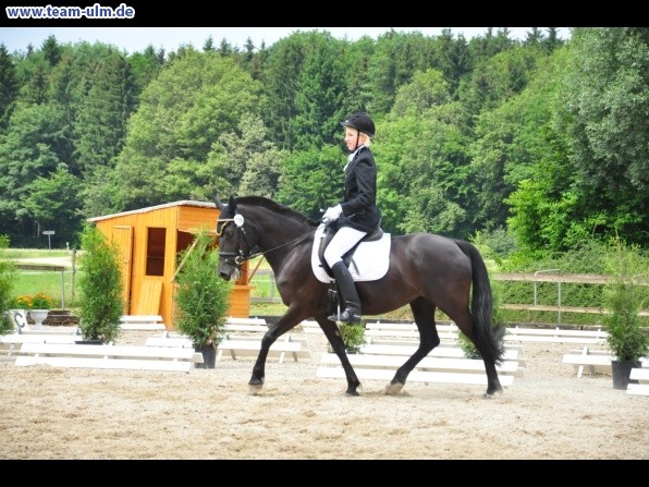 Dressurturnier @ Weissenhorn - Bild 29