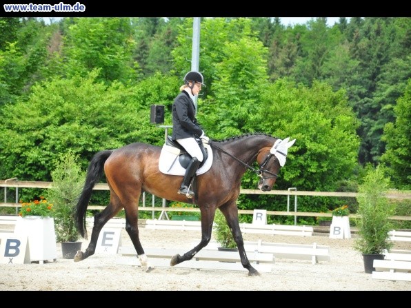 Dressurturnier @ Weissenhorn - Bild 35