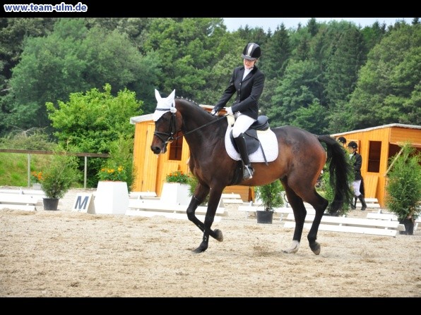 Dressurturnier @ Weissenhorn - Bild 39