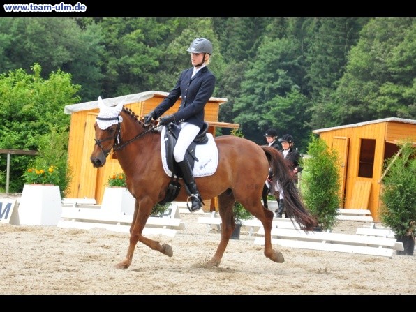 Dressurturnier @ Weissenhorn - Bild 4