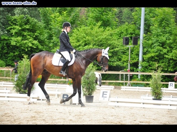 Dressurturnier @ Weissenhorn - Bild 40