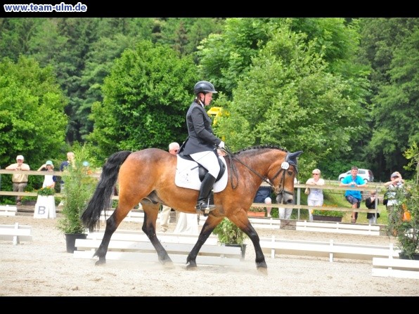 Dressurturnier @ Weissenhorn - Bild 41