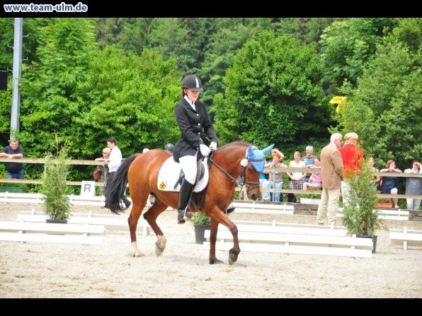 Dressurturnier @ Weissenhorn - Bild 43