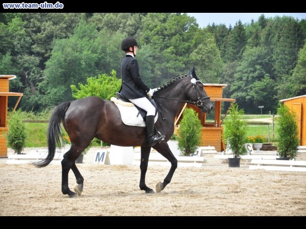 Dressurturnier @ Weissenhorn - Bild 51