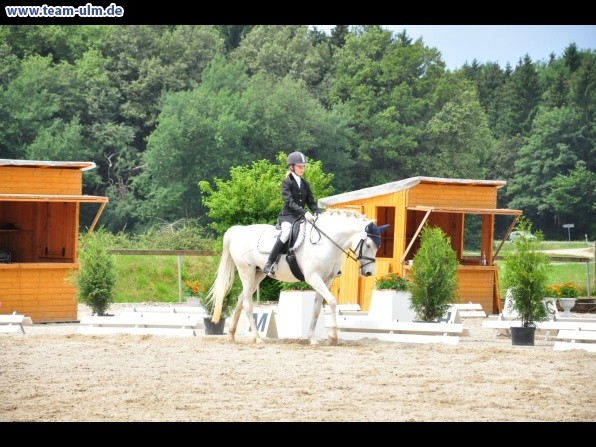 Dressurturnier @ Weissenhorn - Bild 52