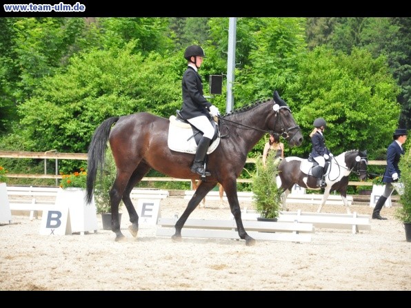 Dressurturnier @ Weissenhorn - Bild 53