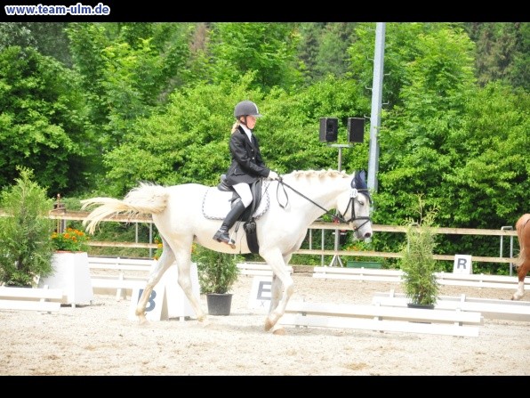 Dressurturnier @ Weissenhorn - Bild 54