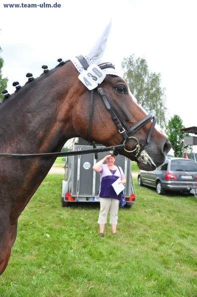 Dressurturnier @ Weissenhorn - Bild 7