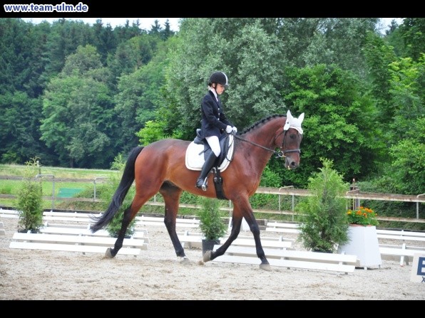 Dressurturnier @ Weissenhorn - Bild 9