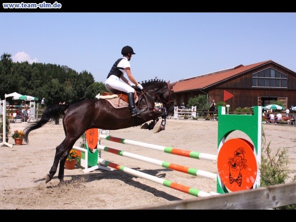 Springturnier @ Weissenhorn - Bild 103