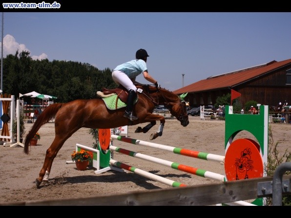 Springturnier @ Weissenhorn - Bild 109
