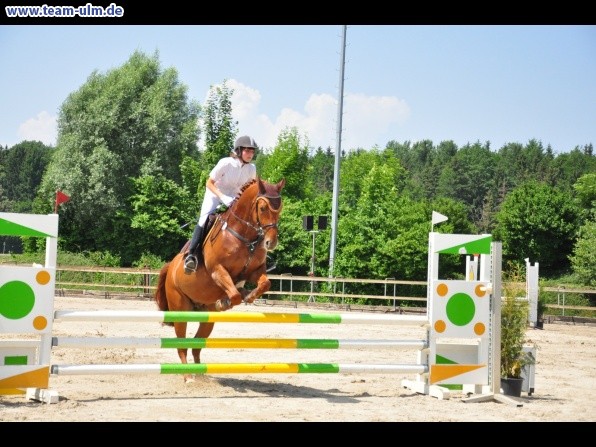 Springturnier @ Weissenhorn - Bild 24