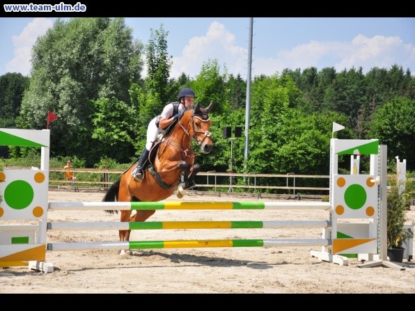 Springturnier @ Weissenhorn - Bild 41
