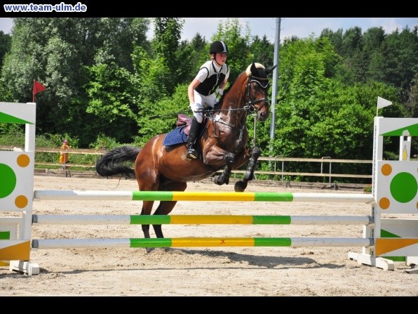 Springturnier @ Weissenhorn - Bild 48