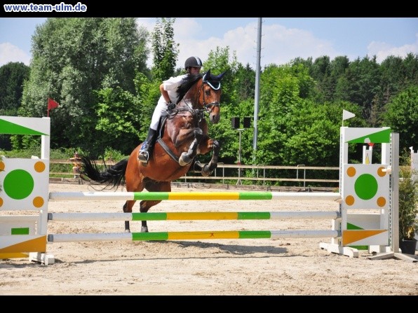 Springturnier @ Weissenhorn - Bild 56
