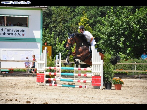 Springturnier @ Weissenhorn - Bild 57