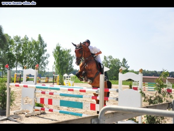 Springturnier @ Weissenhorn - Bild 6
