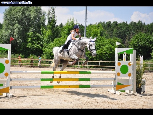 Springturnier @ Weissenhorn - Bild 60