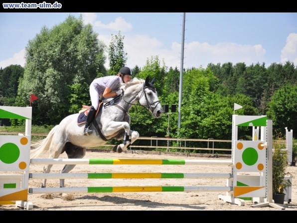 Springturnier @ Weissenhorn - Bild 63