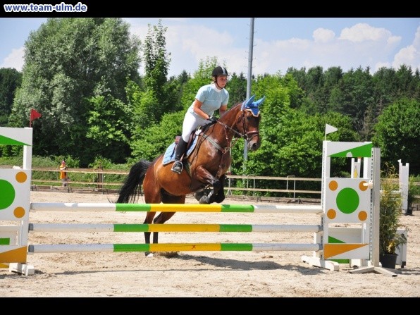 Springturnier @ Weissenhorn - Bild 67