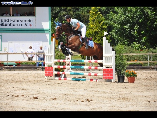 Springturnier @ Weissenhorn - Bild 68