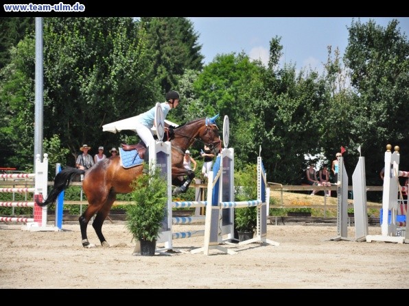 Springturnier @ Weissenhorn - Bild 69
