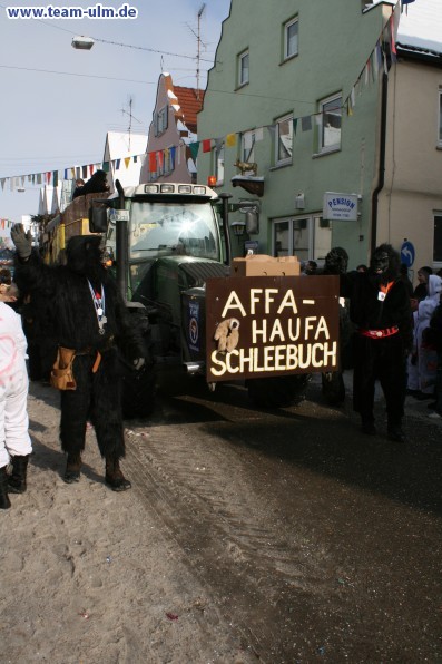 Faschingsumzug @ Weissenhorn - Bild 110