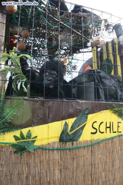 Faschingsumzug @ Weissenhorn - Bild 111