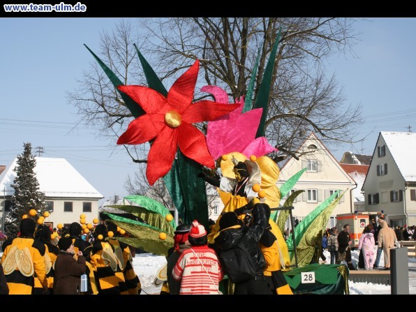 Faschingsumzug @ Weissenhorn - Bild 126