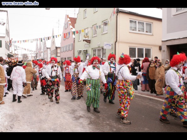 Faschingsumzug @ Weissenhorn - Bild 17
