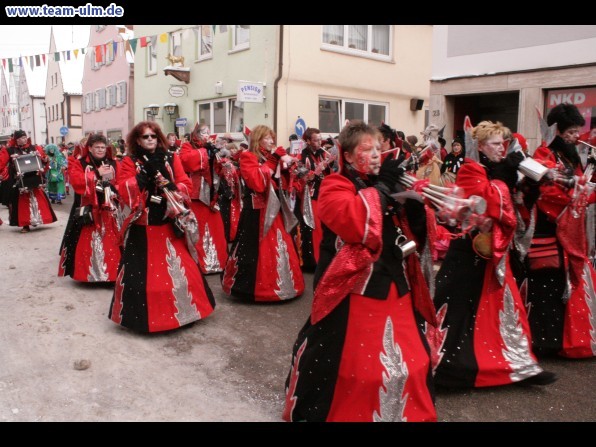 Faschingsumzug @ Weissenhorn - Bild 29