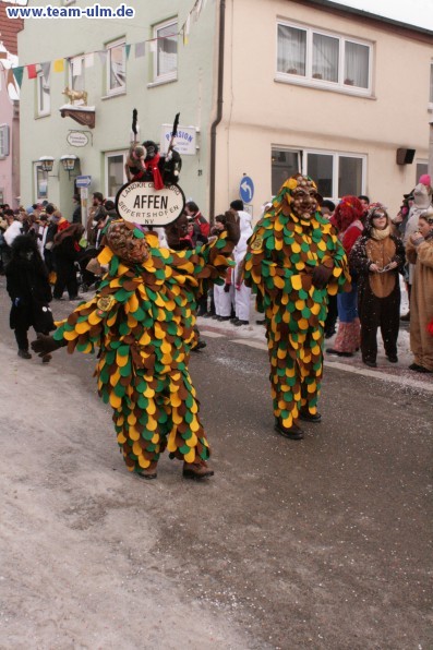 Faschingsumzug @ Weissenhorn - Bild 38