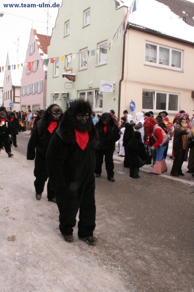 Faschingsumzug @ Weissenhorn - Bild 40