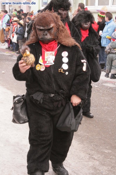 Faschingsumzug @ Weissenhorn - Bild 41