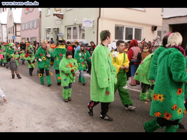 Faschingsumzug @ Weissenhorn - Bild 47