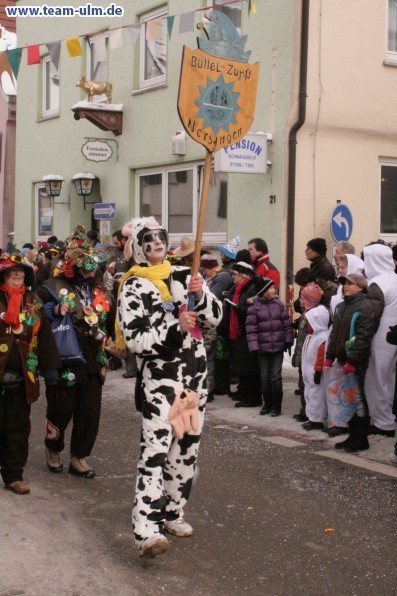 Faschingsumzug @ Weissenhorn - Bild 56