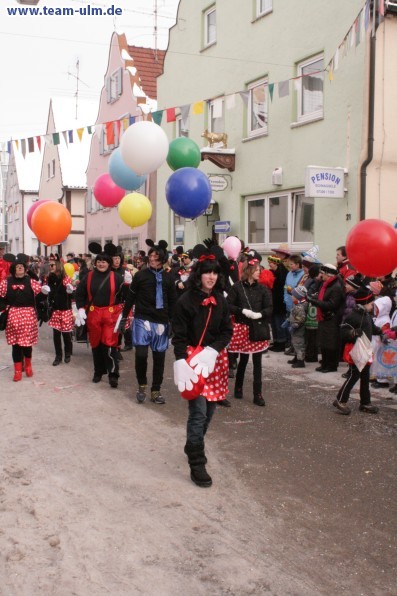 Faschingsumzug @ Weissenhorn - Bild 59