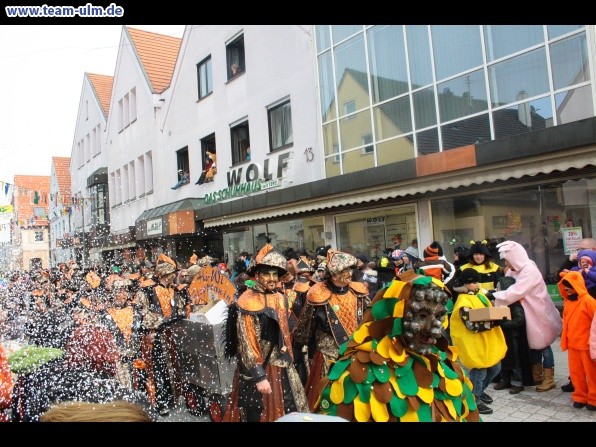 Faschingsumzug @ Weissenhorn - Bild 11